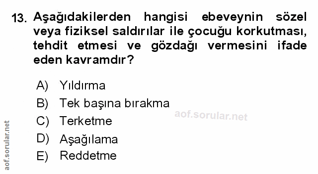 Soru 13