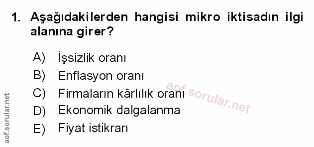 Soru 1