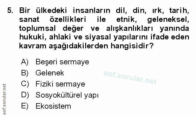 Soru 5