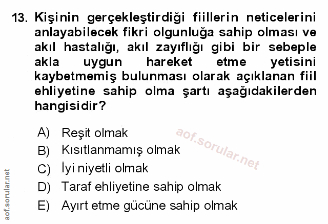 Soru 13