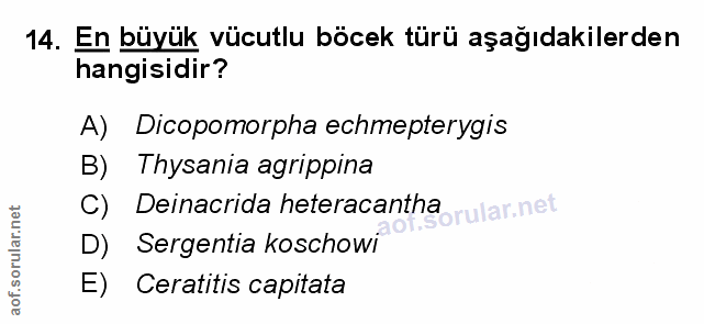 Soru 14