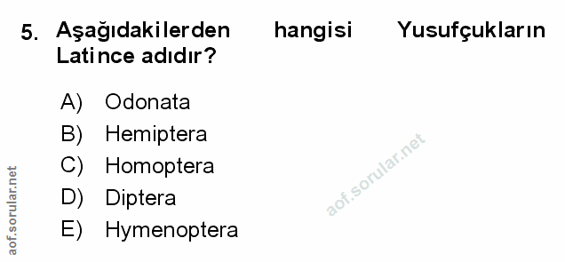 Soru 5