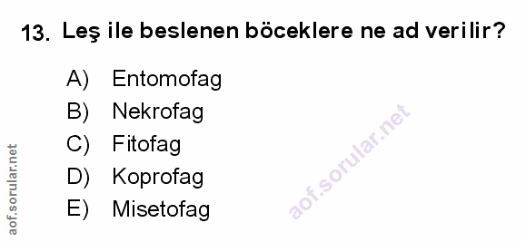 Soru 13