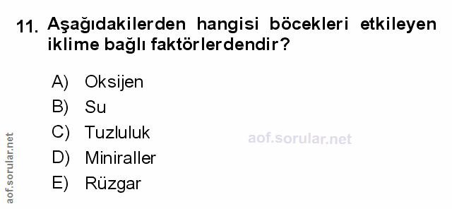 Soru 11