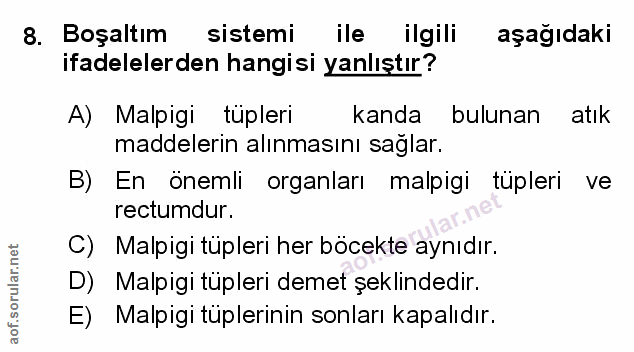Soru 8