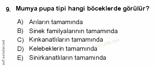 Soru 9