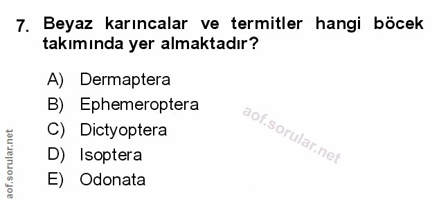 Soru 7