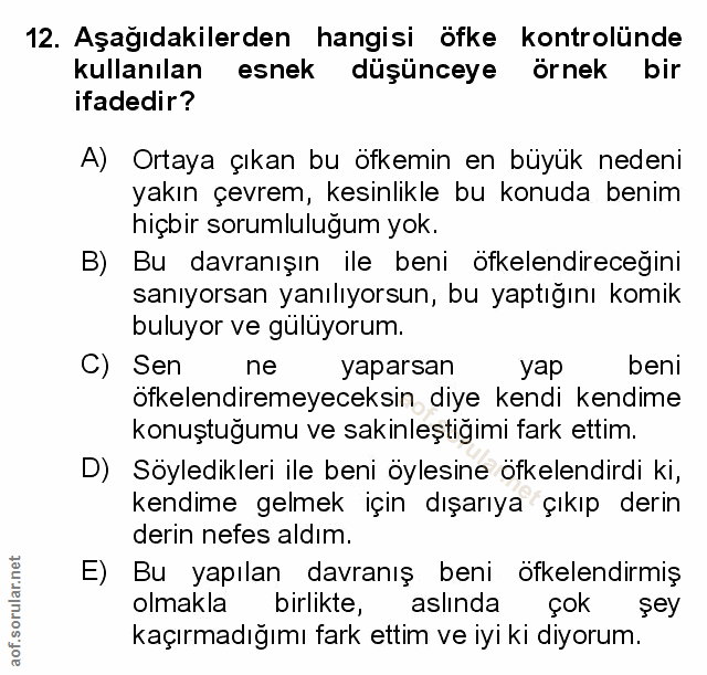 Soru 12