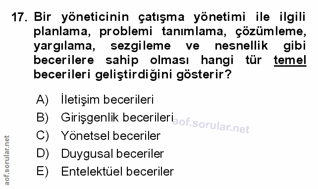 Soru 17