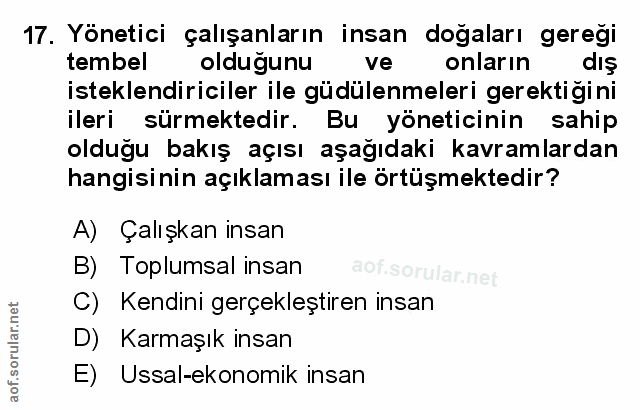 Soru 17