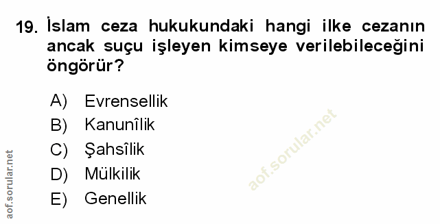 Soru 19