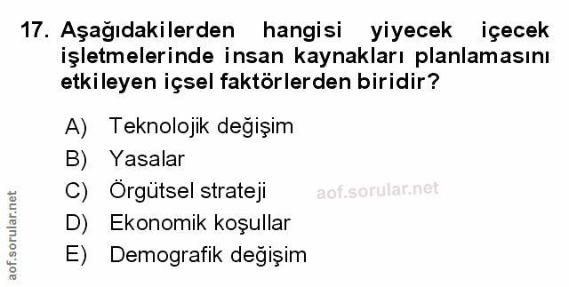 Soru 17