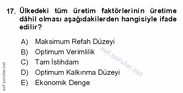 Soru 17