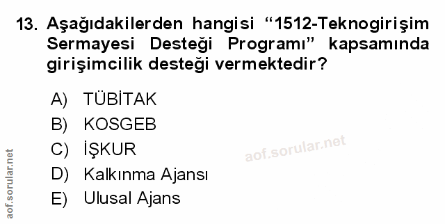 Soru 13