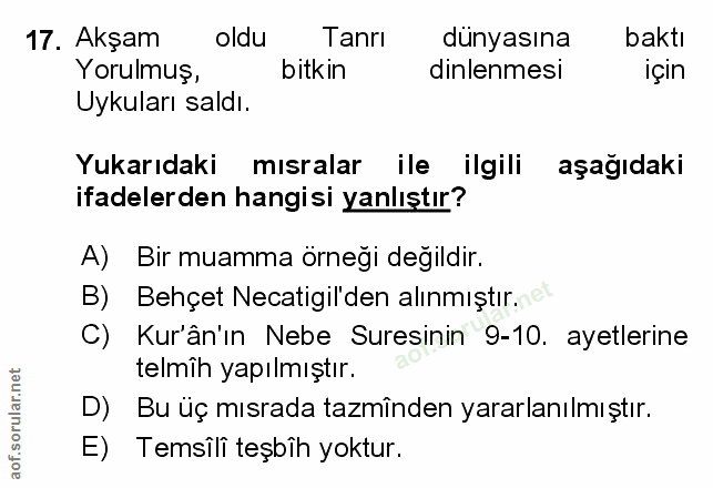 Soru 17