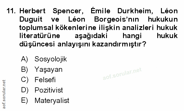 Soru 11