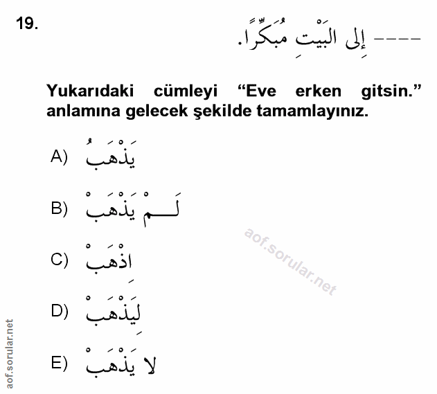 Soru 19