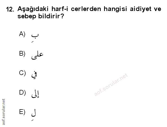 Soru 12