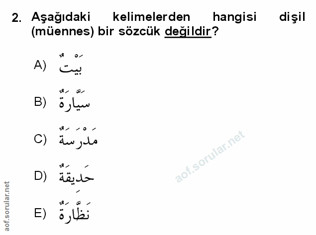 Soru 2