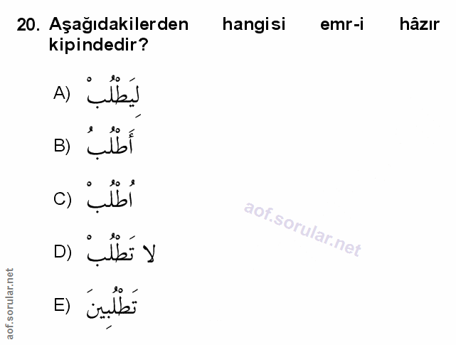 Soru 20
