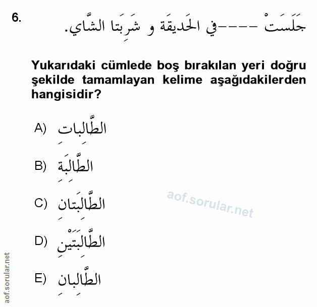 Soru 6
