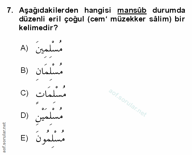 Soru 7