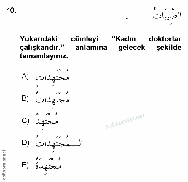 Soru 10