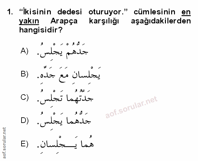 Soru 1