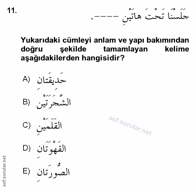 Soru 11