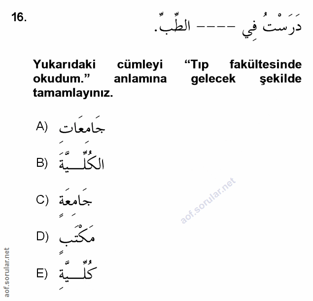 Soru 16