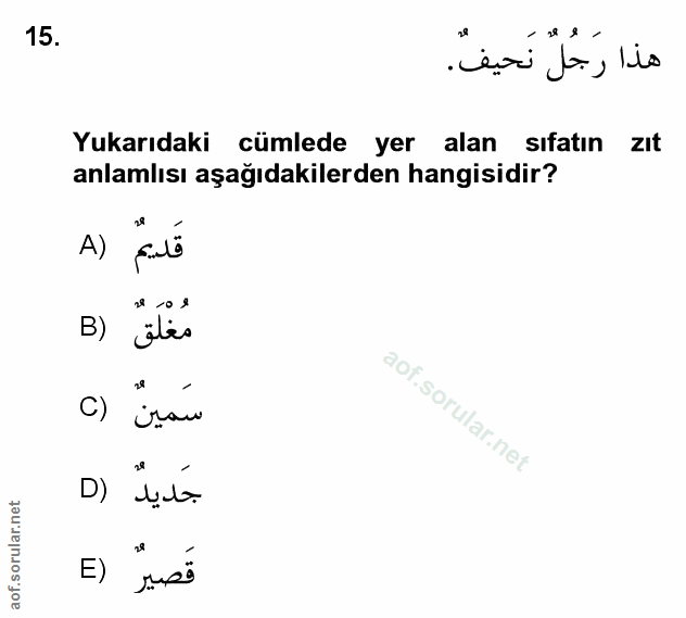 Soru 15