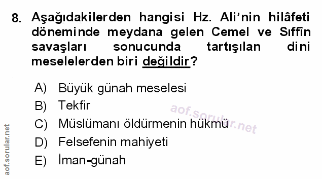 Soru 8