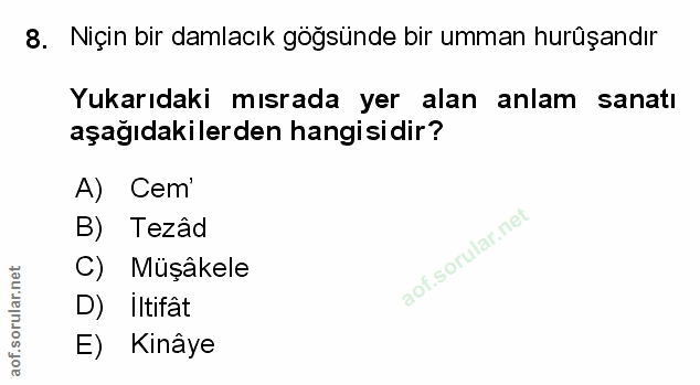 Soru 8
