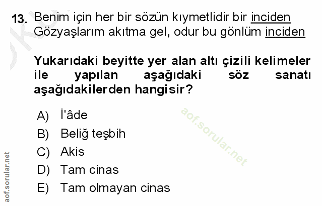 Soru 13
