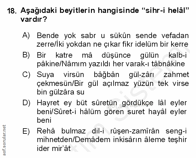Soru 18