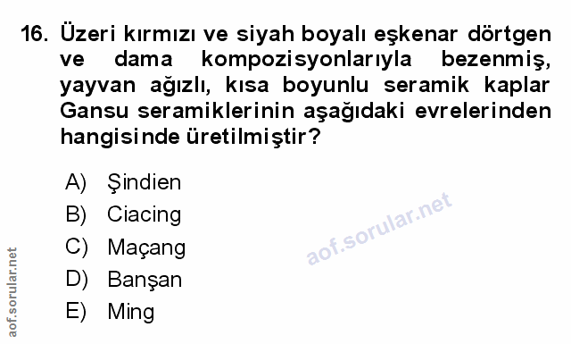 Soru 16