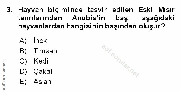Soru 3