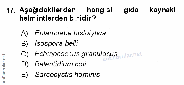 Soru 17