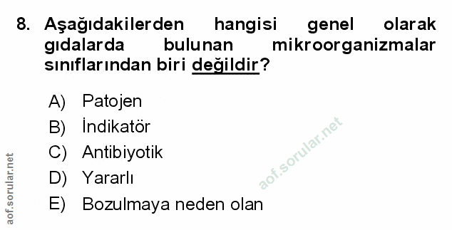 Soru 8