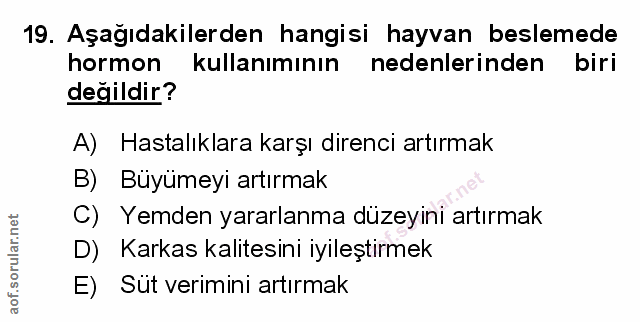 Soru 19