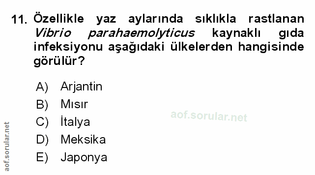 Soru 11