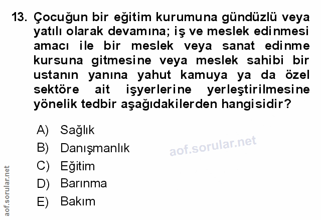 Soru 13