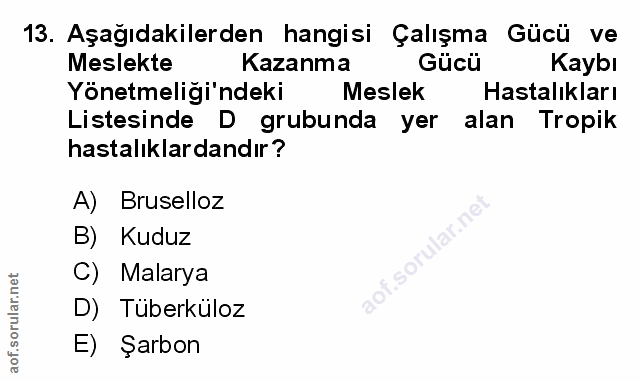 Soru 13