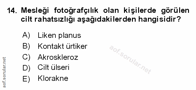 Soru 14