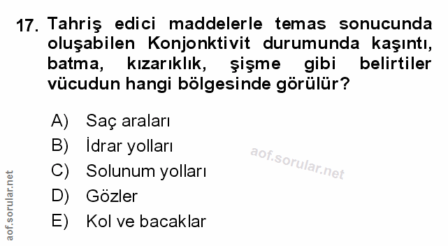 Soru 17