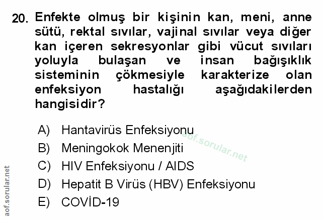 Soru 20