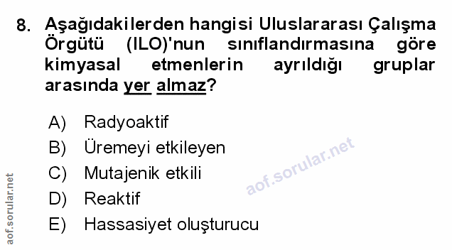 Soru 8