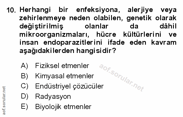 Soru 10