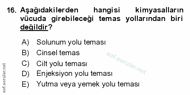 Soru 16