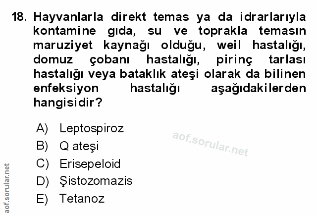Soru 18